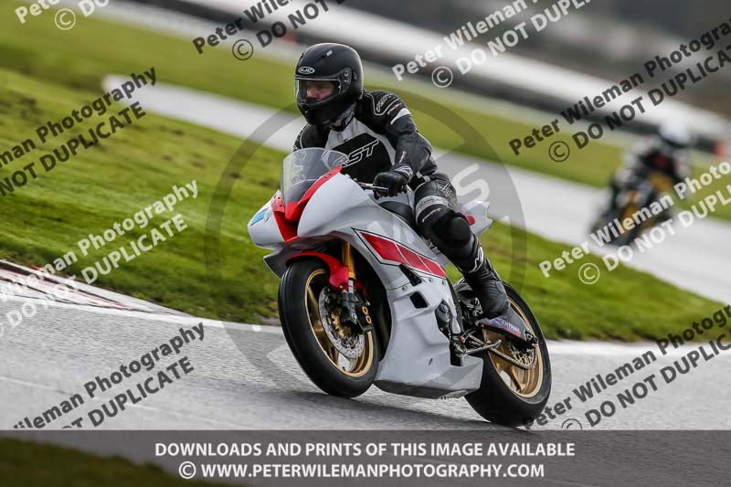 Oulton Park 14th March 2020;PJ Motorsport Photography 2020;anglesey;brands hatch;cadwell park;croft;donington park;enduro digital images;event digital images;eventdigitalimages;mallory;no limits;oulton park;peter wileman photography;racing digital images;silverstone;snetterton;trackday digital images;trackday photos;vmcc banbury run;welsh 2 day enduro